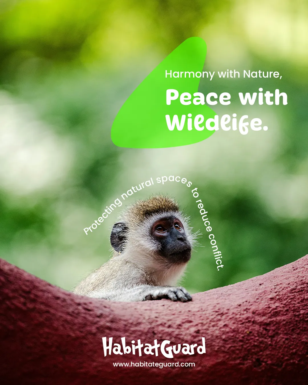 Bellavique Coco alternate graphic design by Omprakash